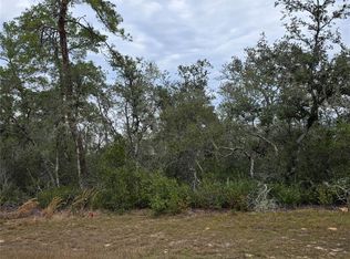 165 Southwest St LOT 12, Ocala, FL 34473