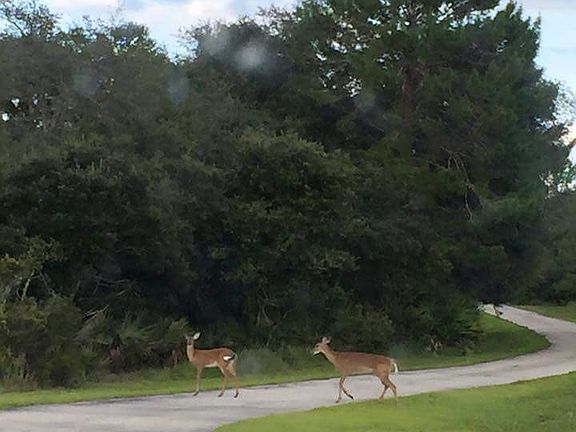 4th image of 10800 S Orange Blossom Blvd