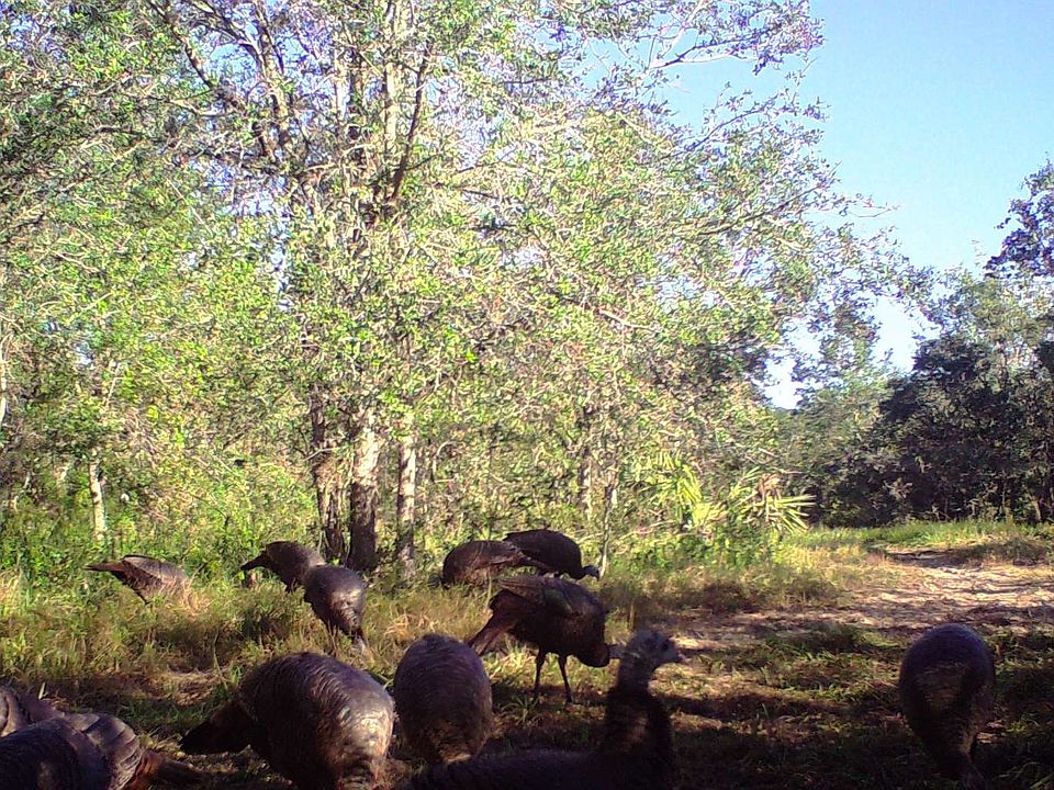 2nd image of 1339 White Wolf Rd
