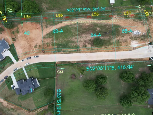 20212 Roebuck Dr, Bullard, TX 75757