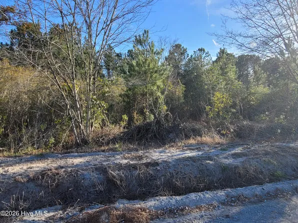 LOT 2 Auburn Dr, Loris, SC 29569