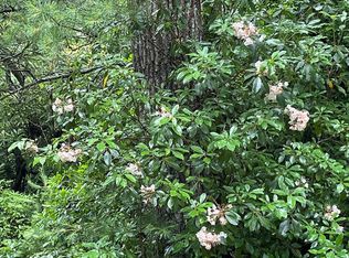 Overland Trl, Fancy Gap, VA 24328