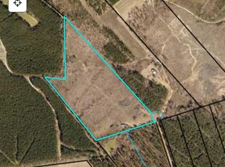 2929 Saint Clair Rd, Louisville, GA 30434
