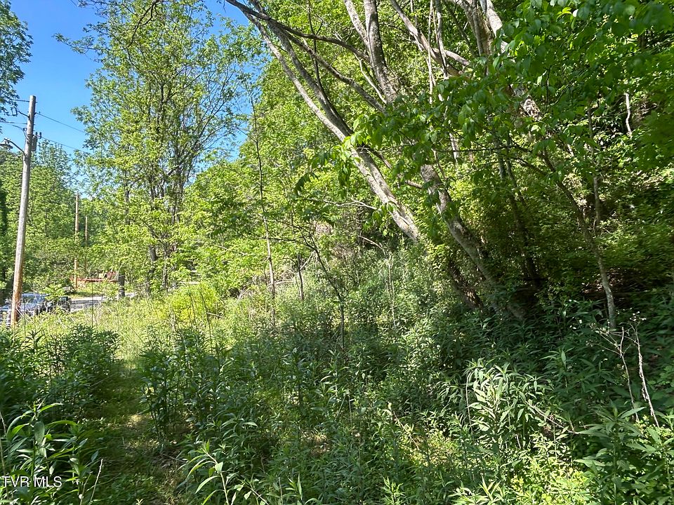 2nd image of 0 High Country Rd #91145.00