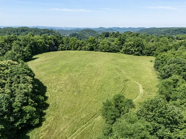 47 Skelton Ln, Pleasant Shade, TN 37145