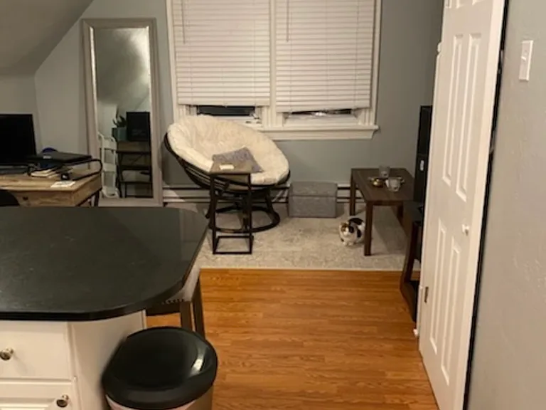 114 S Negley Ave #5 — Photo 13