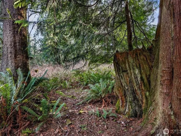 6657 N Fruitdale Road, Sedro Woolley, WA 98284