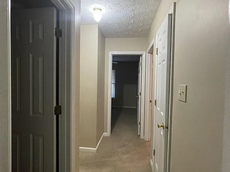 212 Sprucepine Dr — Photo 19