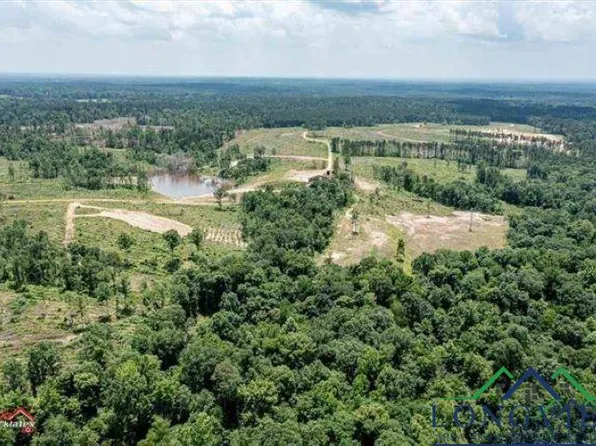 Fm 123, De Berry, TX 75639