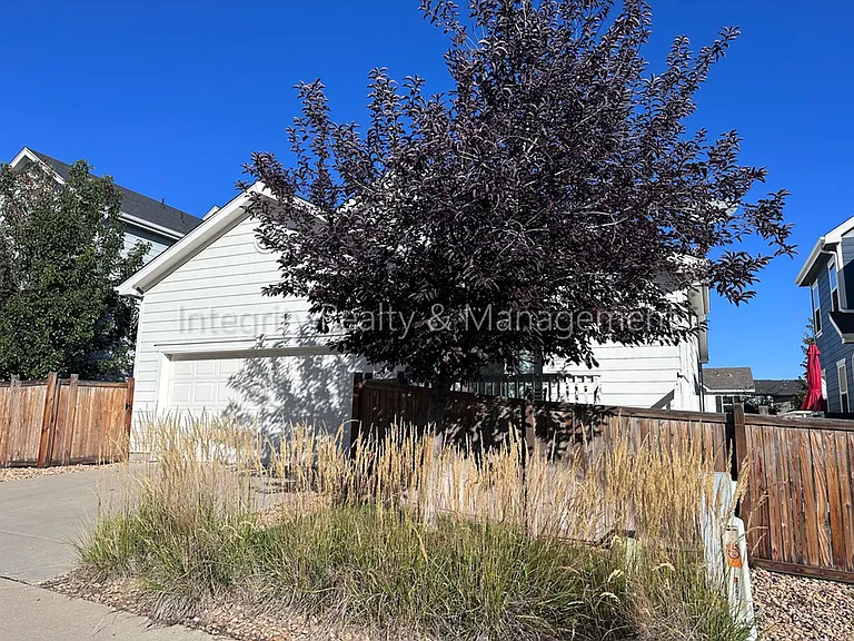 3762 Cadence Dr — Photo 39