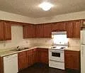 616 Wolftrap Dr — Photo 5