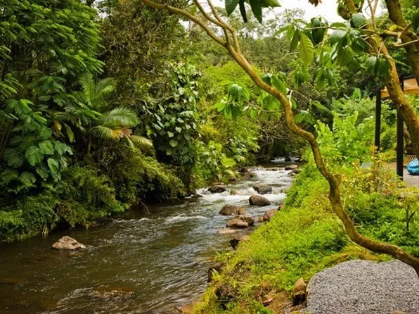 289 Wainaku St B1c2-lot B-1, Hilo, HI 96720