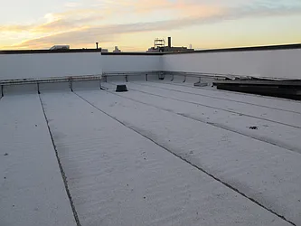 Rented by P Management