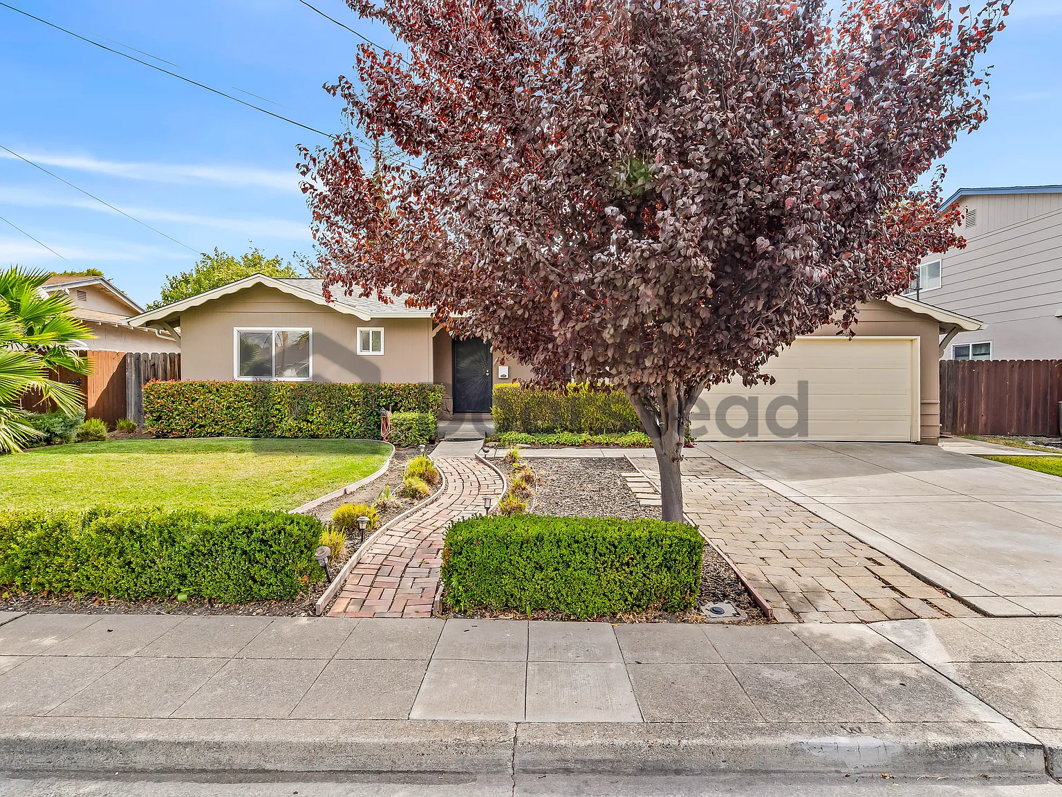 3 bed, 2.0 bath, 1246 sqft, $4,300 — Photo 3