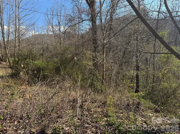 9999 Ox Creek Rd, Weaverville, NC 28787