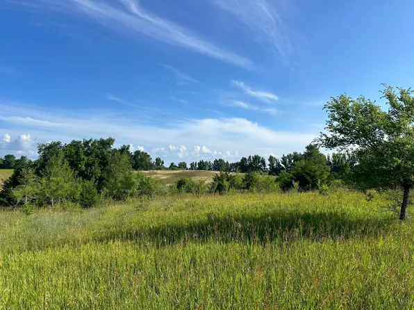 273 Dassel Twp, Dassel, MN 55325
