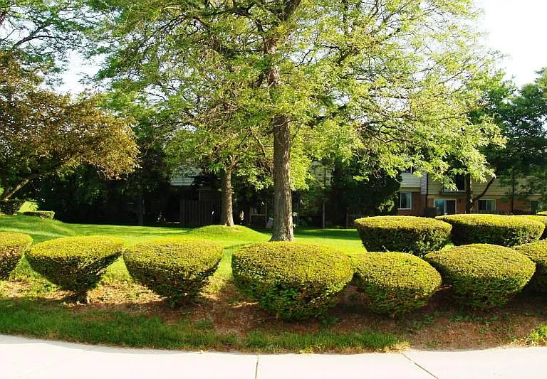 Common area
