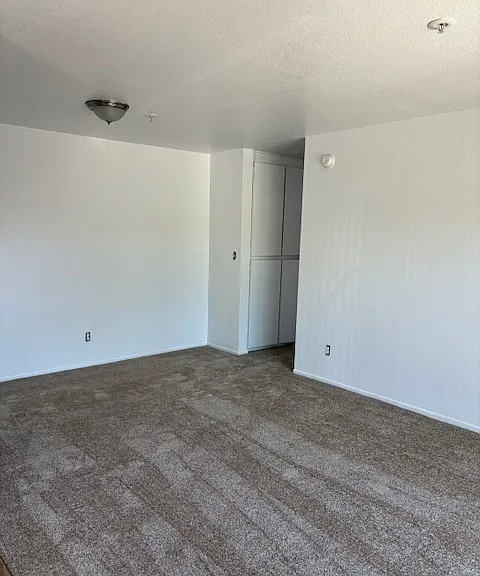 240 W Santa Cruz St #101 — Photo 7