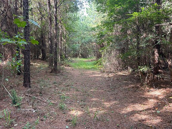 3rd image of 0 County Road 2242