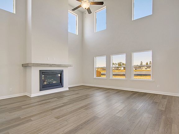 454 Carrara Drive, Homesite 201 Elevation Image 5