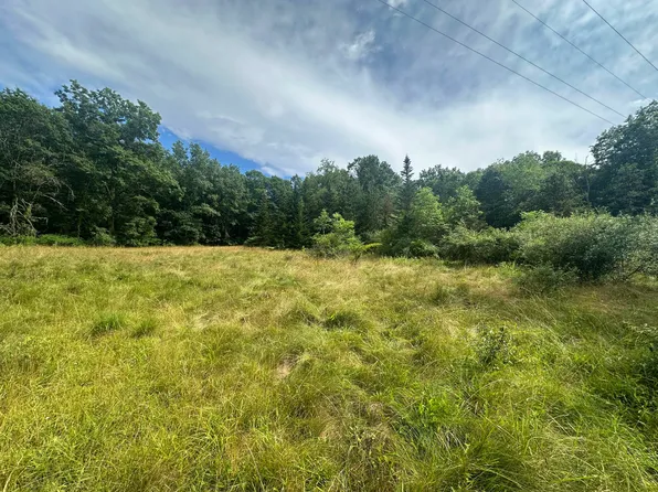 Moncove Lake Rd, Gap Mills, WV 24941