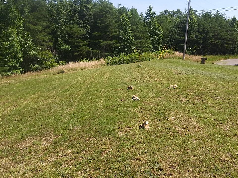 0 Turtle Point Ln Waverly TN Zillow