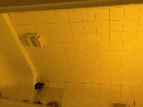 5th image of 10110 Forum West Dr APT 634