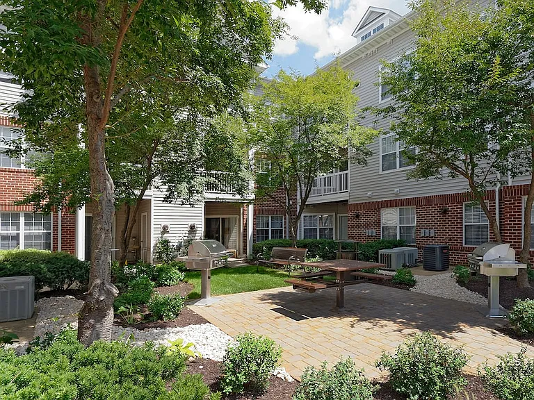 Courtyard with barbecue grills and picnic area
