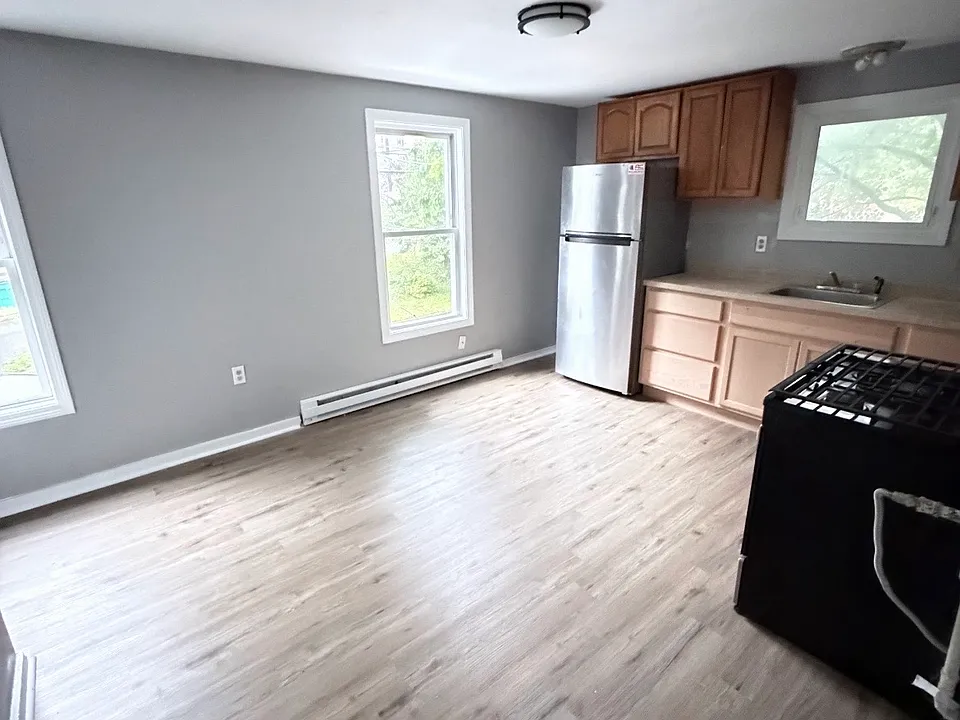 163 Mechanic St #4F