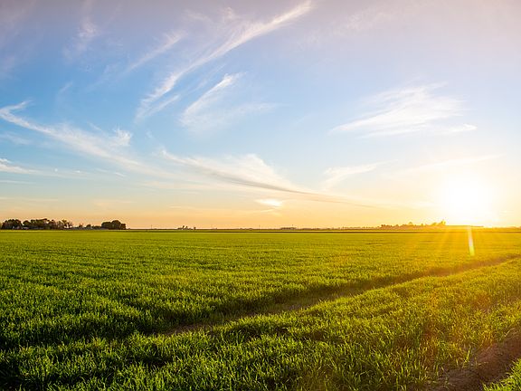 View going south of property