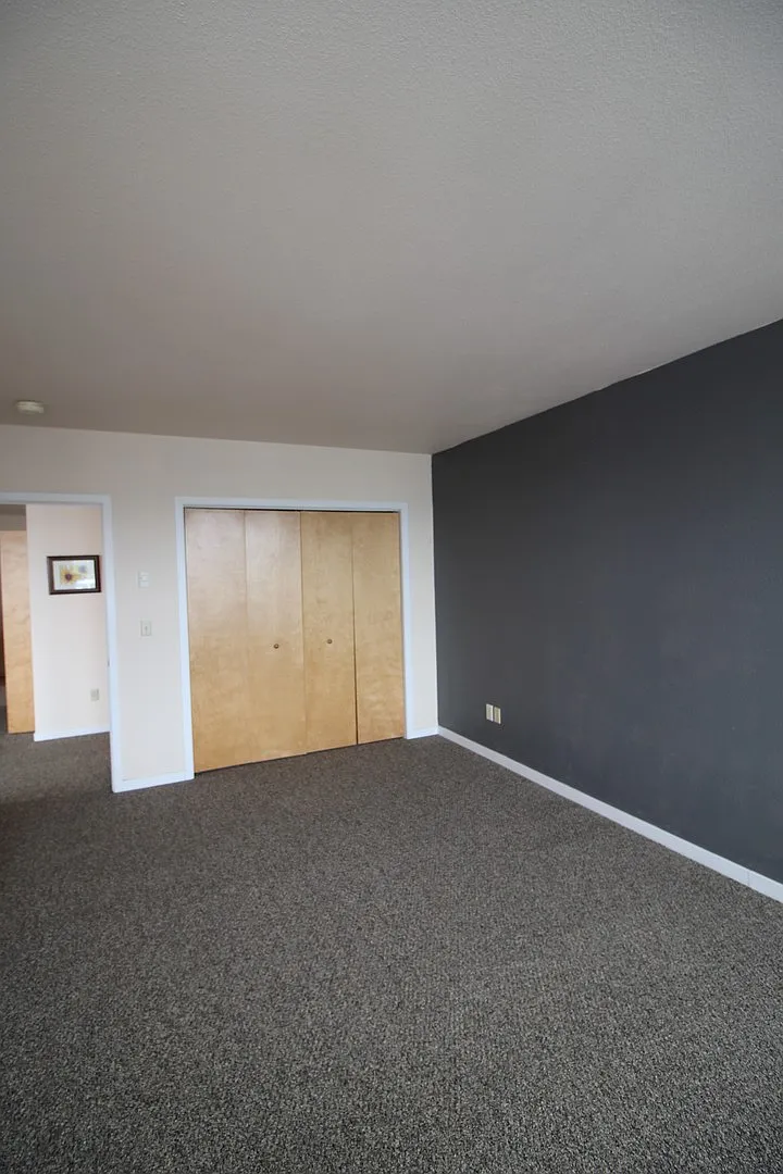 Spacious one bedroom, one bath apartment in town. — Photo 4