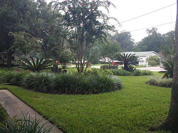 Beautiful healthy lawn