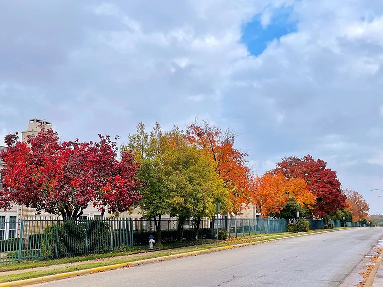 A quiet, tree-lined street just steps from the home, where autumn brings a beautiful display of colorful foliage. As the leaves turn, the entire neighborhood feels warm, calm, and inviting_like a scene you'll enjoy coming back to every day. __