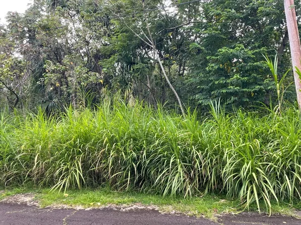 Wehelauniu St Lot 157, Pahoa, HI 96778