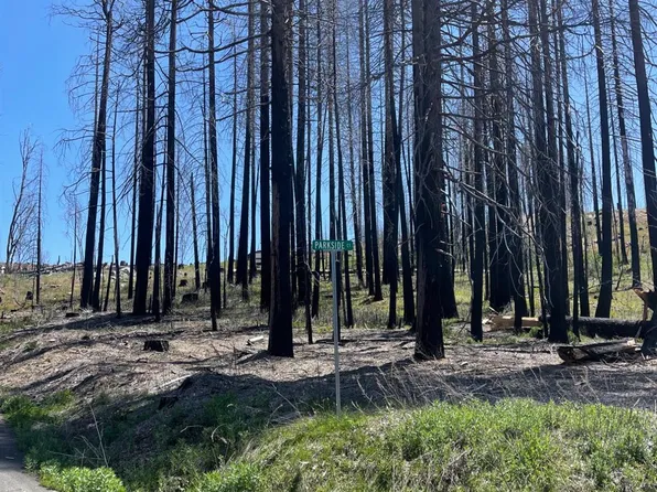 5106 Parkside Dr, Grizzly Flats, CA 95636