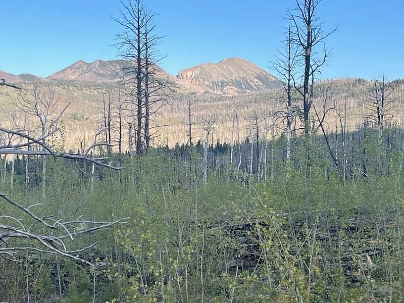2nd image of Ellenz Rd