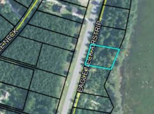 0 Eagle Neck Airstrip Rd NE, Townsend, GA 31331