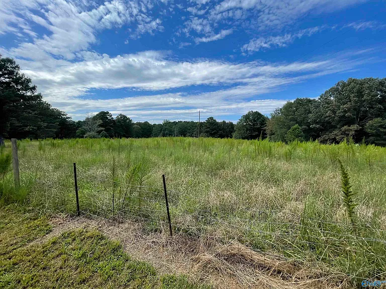 6370 County Road 91 — Photo 32