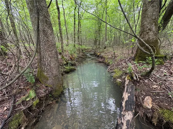 TRACT Seven Nwf #517, Caddo Gap, AR 71935