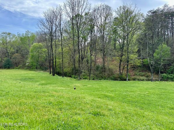 467 Deer Lodge Hwy, Sunbright, TN 37872