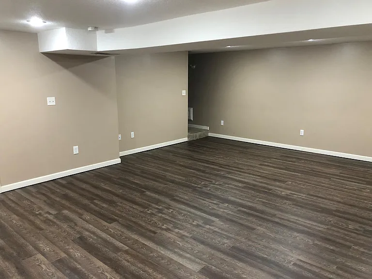 Lower Level Family Room