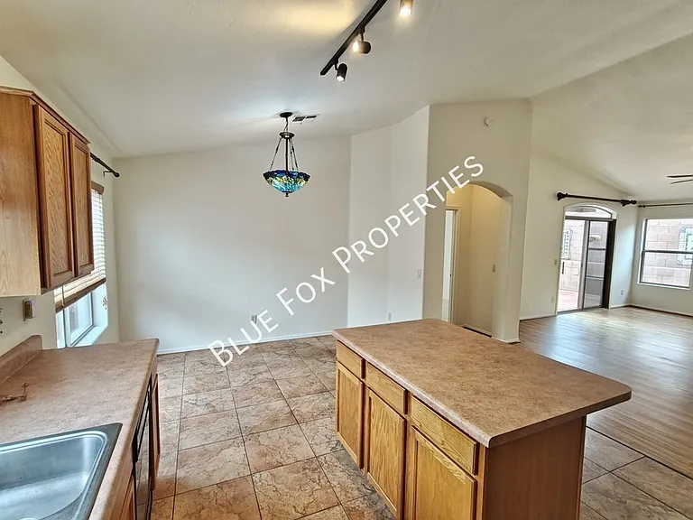 10923 S Lake Gambusi Dr — Photo 17
