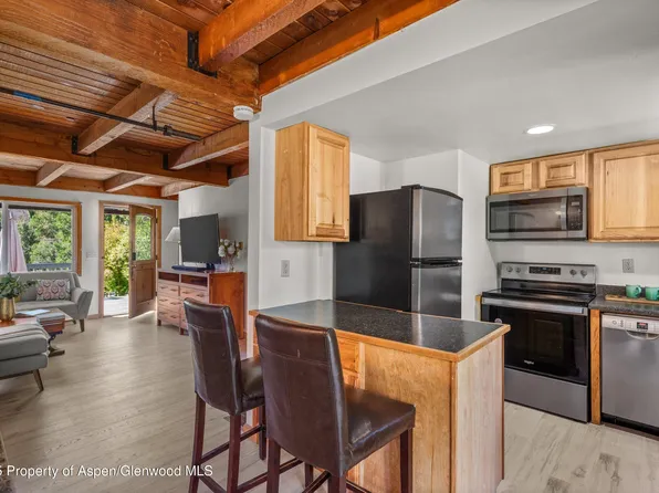 331 Holland Hills Rd APT 5, Basalt, CO 81621