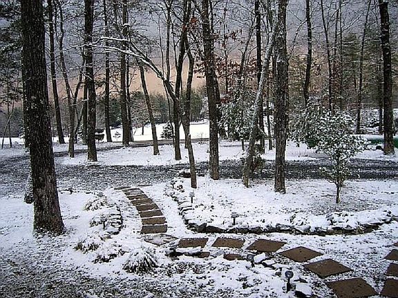 Winter from your Doorstep