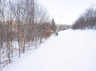 23 Brookside Rd, Davis, WV 26260