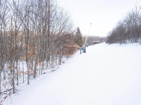 23 Brookside Rd, Davis, WV 26260