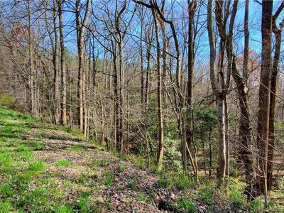5761 Yadkin Wilkes Hwy, Hamptonville, NC, 27020