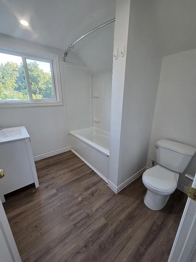 1 bed, $1,100 — Photo 4