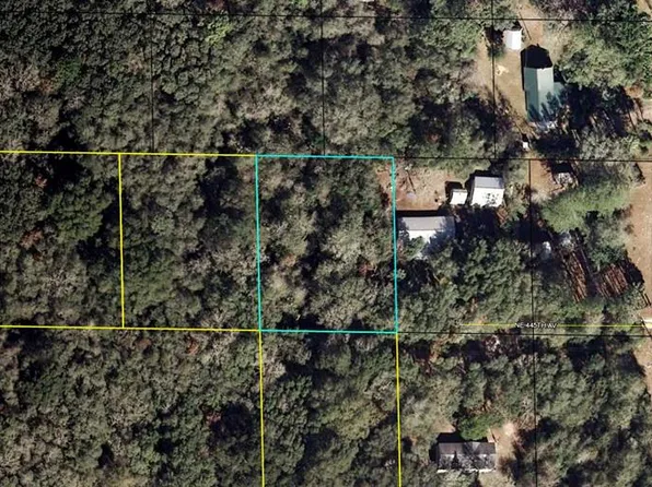 TBD NE 445th Ave, Old Town, FL 32680