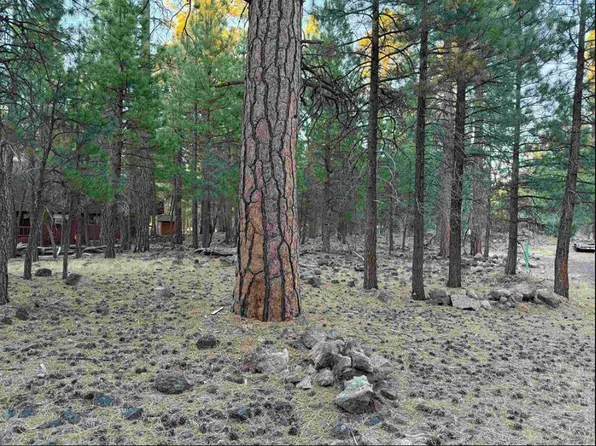 0 Magnolia Way, Susanville, CA 96130
